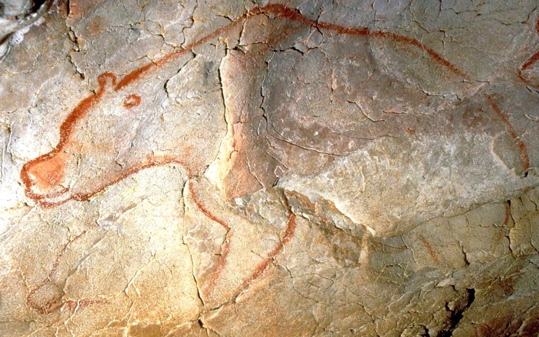 Grotte Chauvet : témoignage exceptionnel