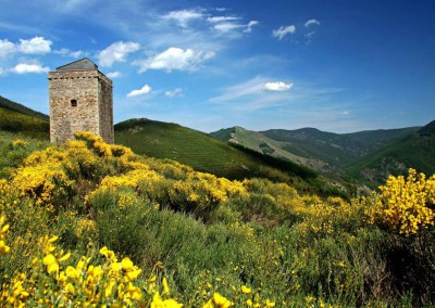 Parc naturel des Monts d’Ardèche