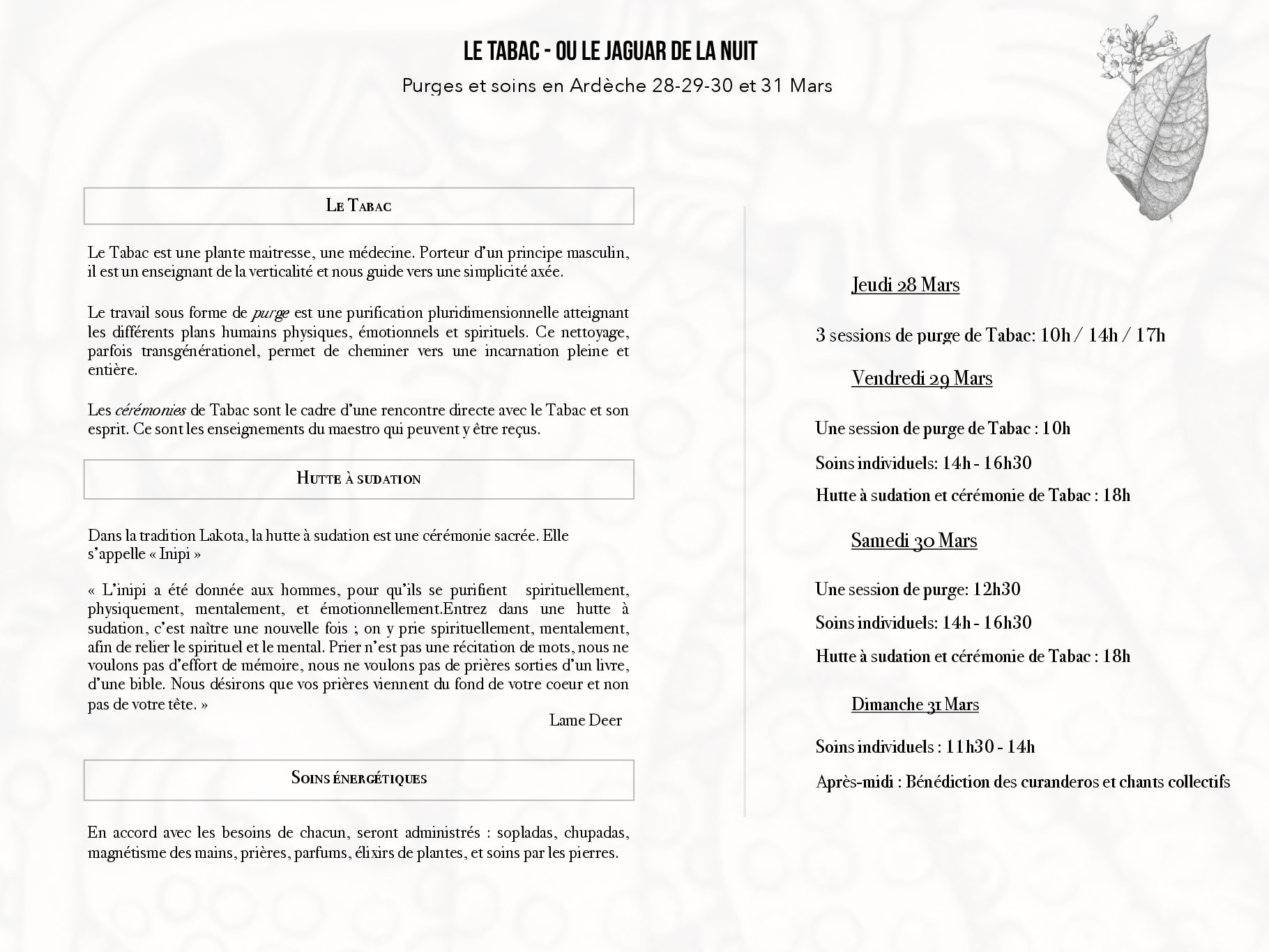LE TABAC – OU LE JAGUAR DE LA NUIT – PURGES et SOINS en Ardèche au Nid des Anges Stage les 28-29-30 et 31 Mars